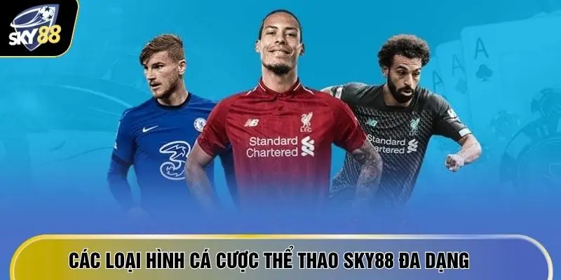 Thể Thao SKY88 2 Các loại hình cá cược thể thao SKY88 đa dạng